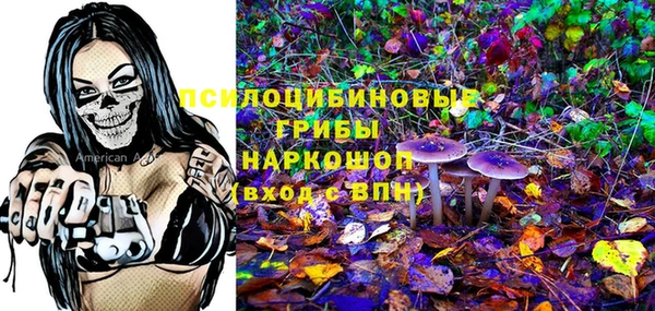 первитин Дмитров